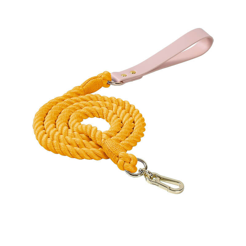 Collier et laisse pour chien en cuir tissé à la main, sans traction