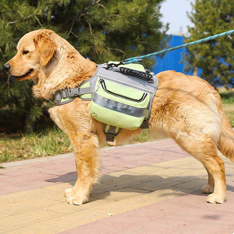 Taktisches Hundegeschirr für große Hunde, selbstverpackt