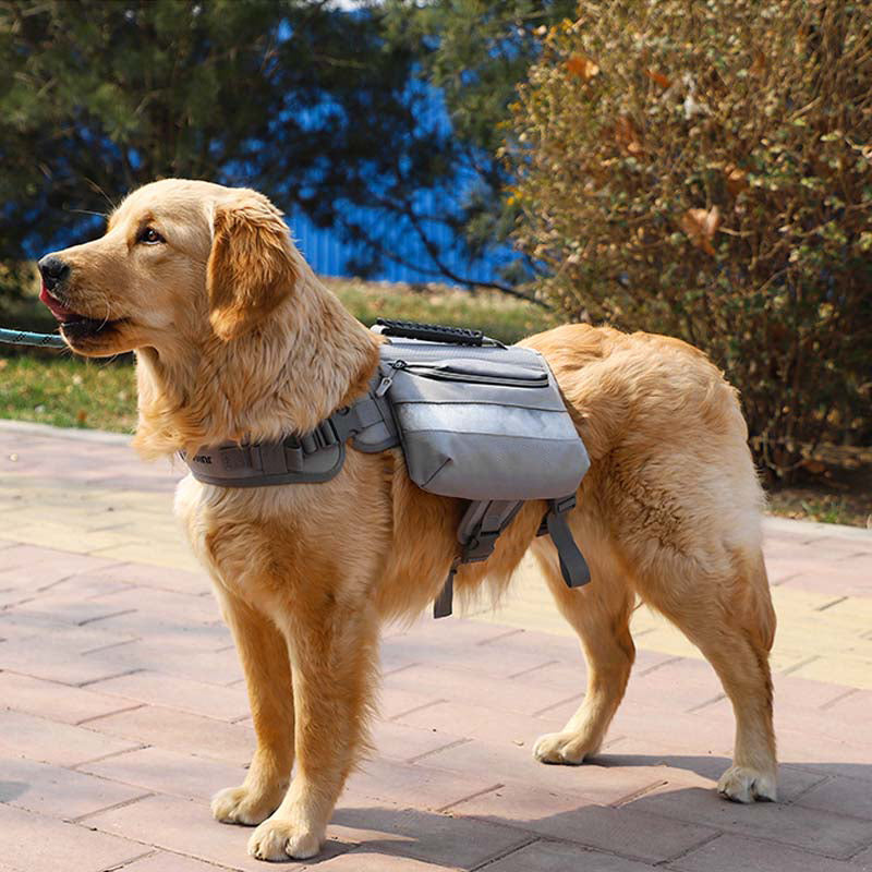 Taktisches Hundegeschirr für große Hunde, selbstverpackt