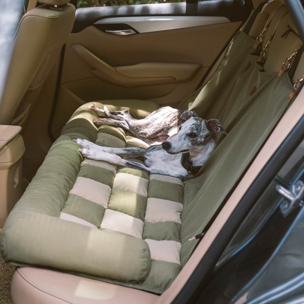 For Large Dog - Cozy Safety Car Trips Bundle -3pcs