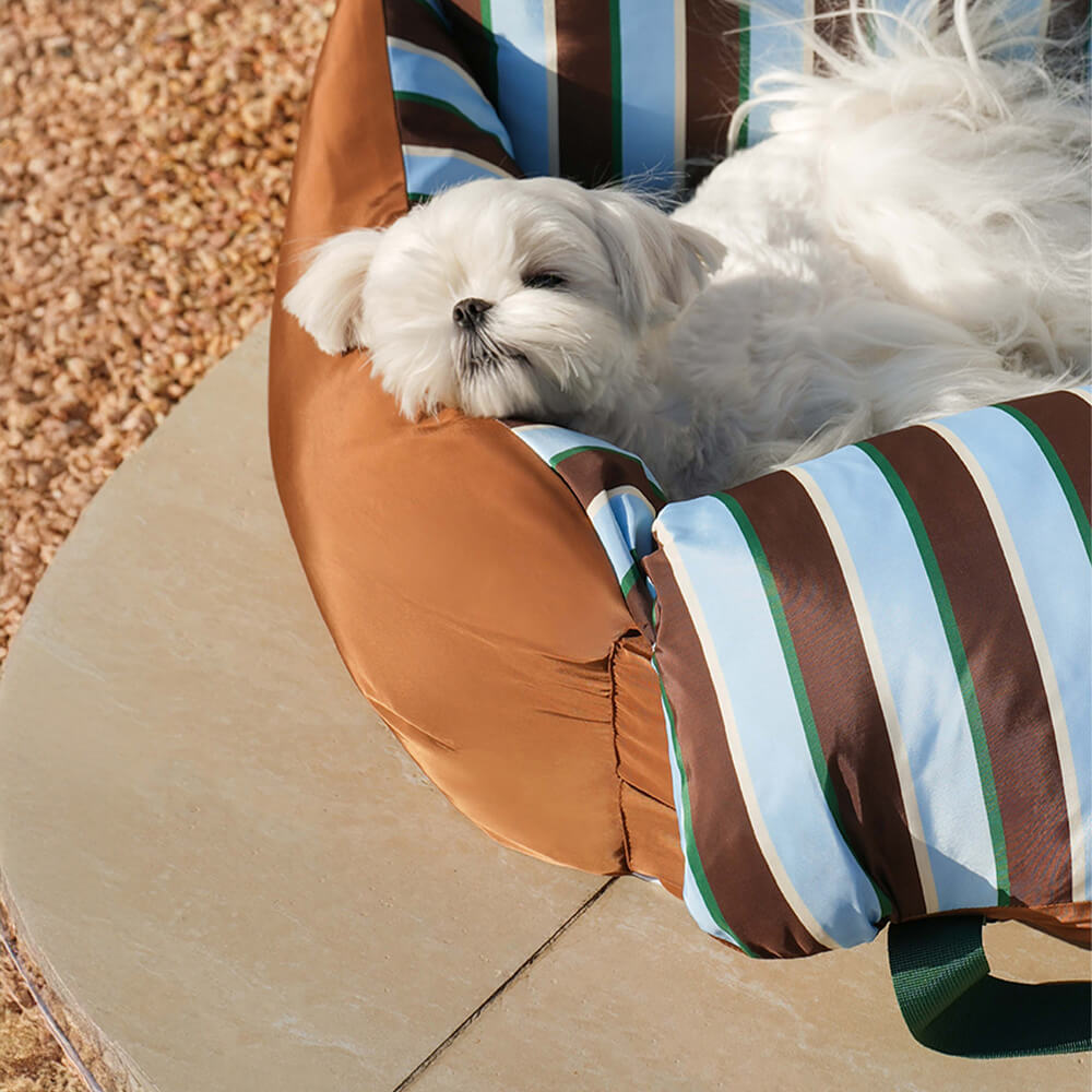 Vibrant Vibe Travel Booster Multifuncional cama para perros impermeable