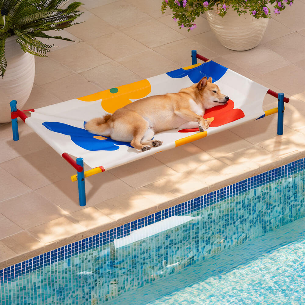 Erhöhtes Hundebett aus Aluminium im lebendigen Sommerdruck-Stil – Sommerparadies