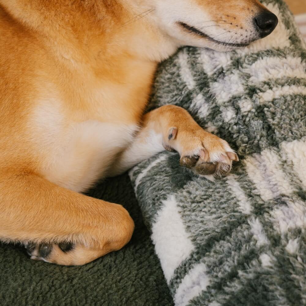 Canapé-lit vintage à carreaux lavable et confortable pour chien et chat