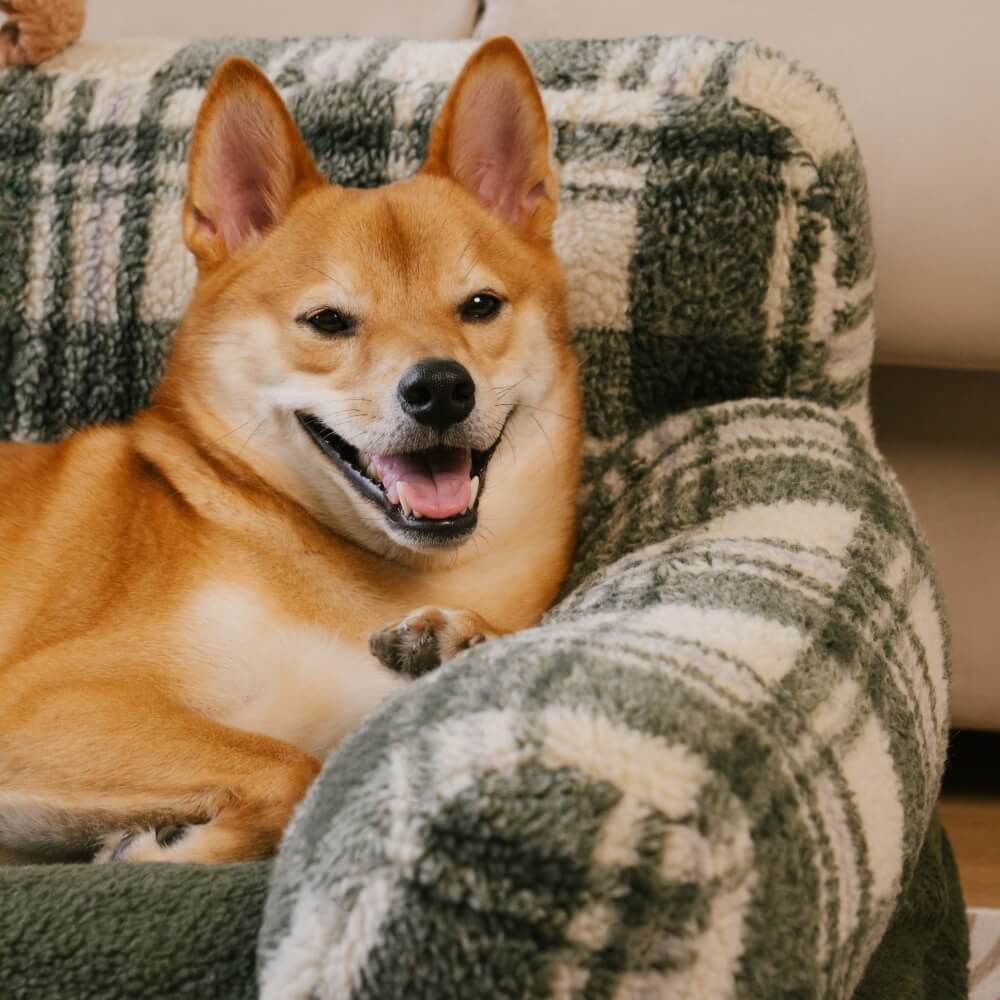 Canapé-lit vintage à carreaux lavable et confortable pour chien et chat