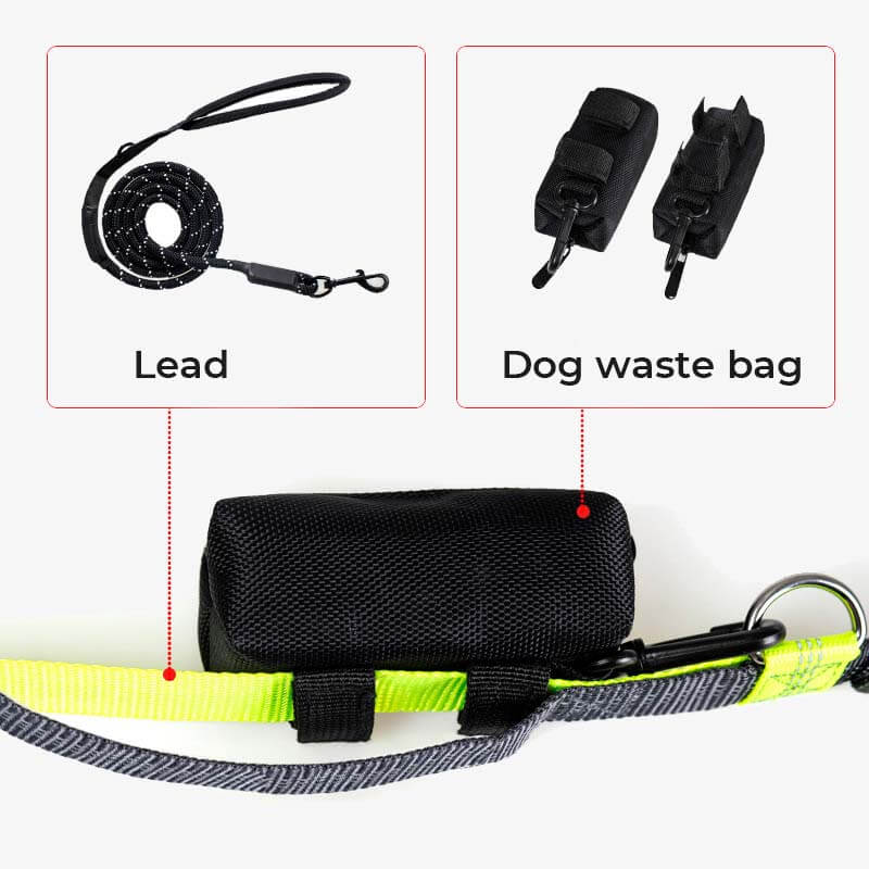 Distributeur portatif de sac de déchet de chien de sac de marche de chien de tissu d'Oxford