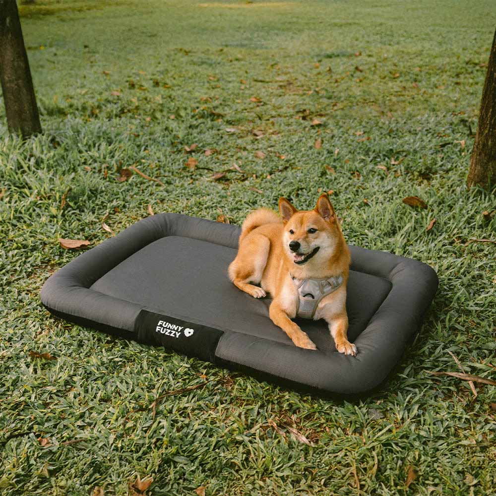 Matera de perros ortopédica de espuma de memoria de memoria al aire libre - Trek Lounge