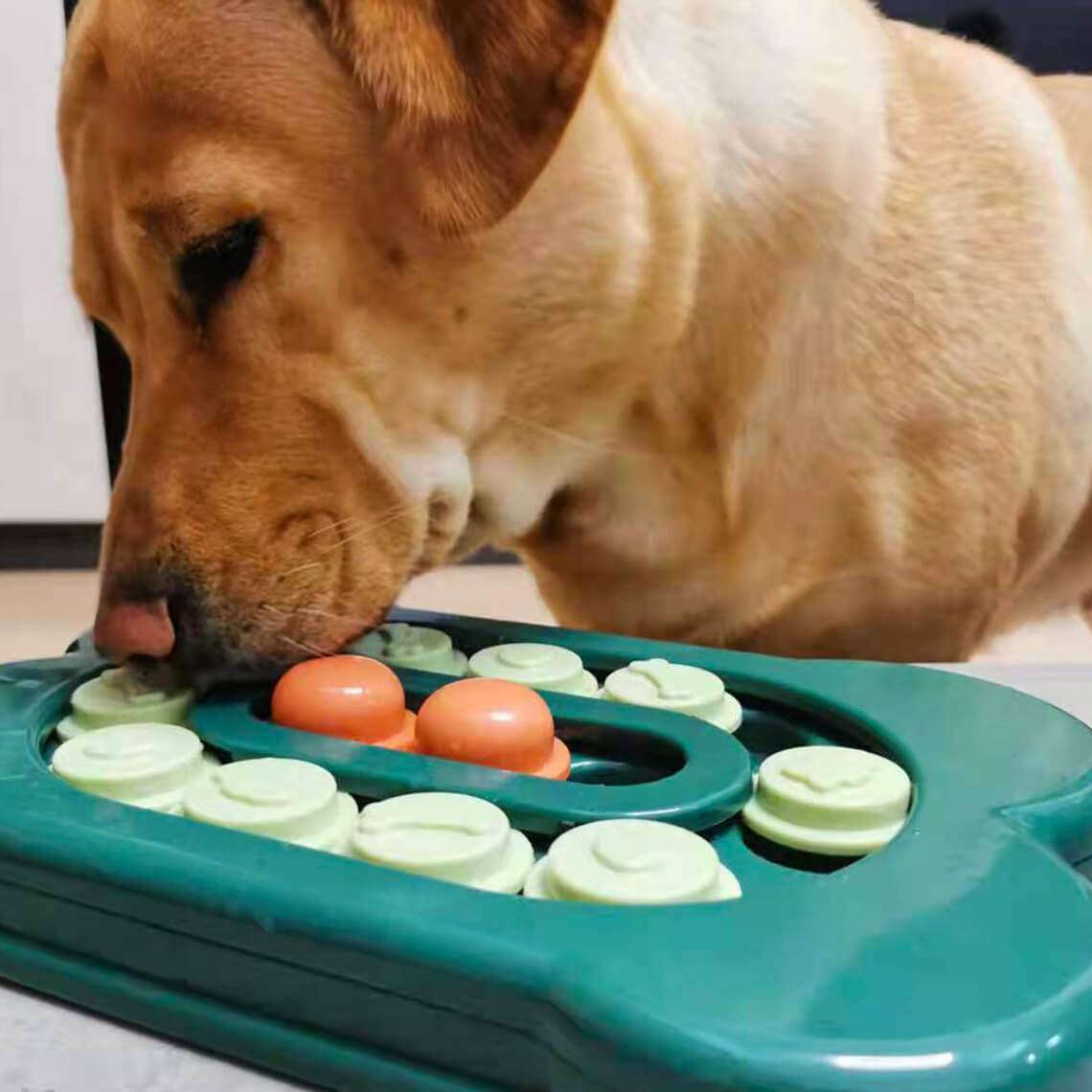 Juego de canasta de regalo de juguete para perros | Squeaky Chew Plush Tratas de lanzamiento de juguetes interactivos