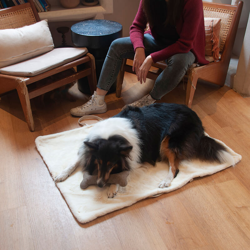Portable Dog Mat - FUNNYFUZZY