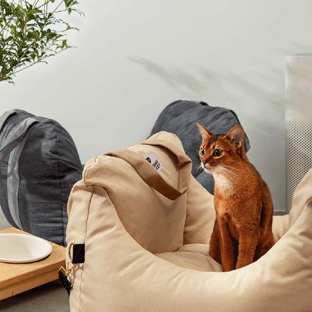 Cama para el asiento del automóvil del perro - Primera clase