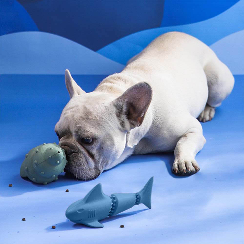 Juego de canasta de regalo de juguete para perros | Squeaky Chew Plush Tratas de lanzamiento de juguetes interactivos