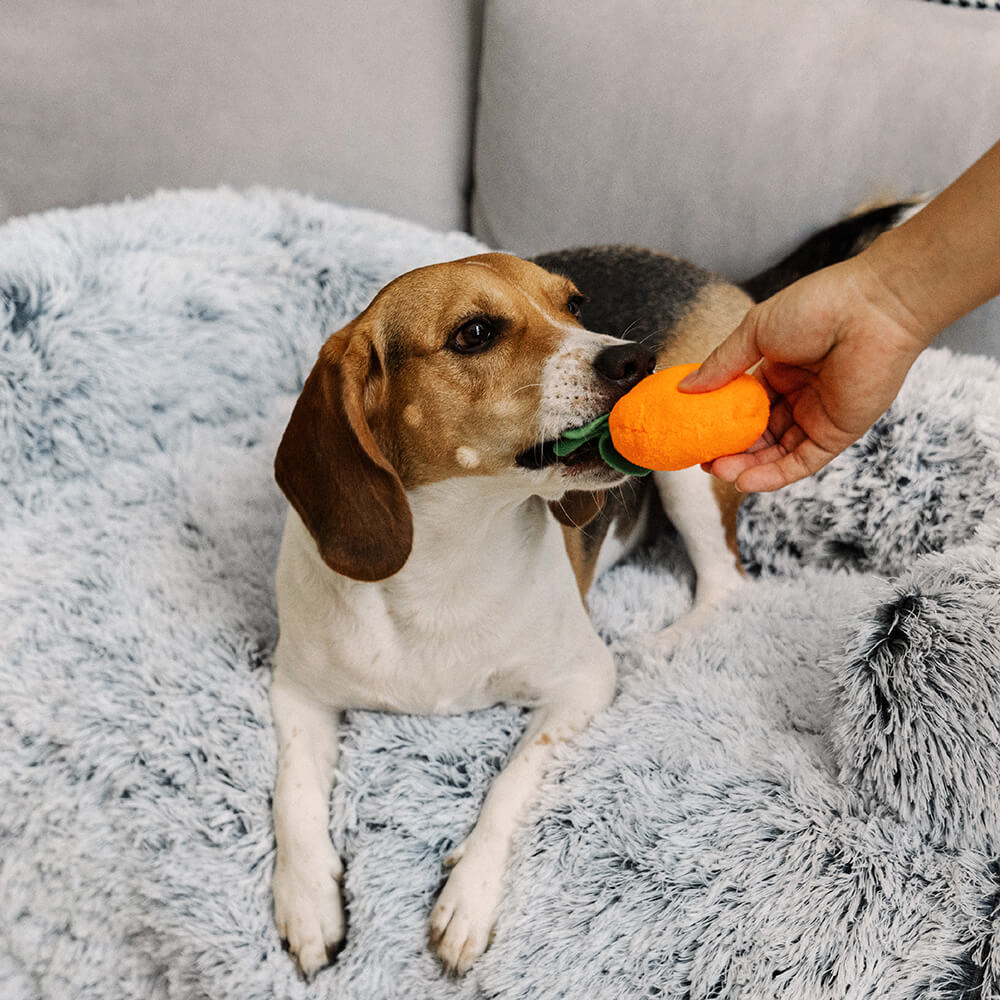 Cama Protetora de Móveis Calmante para Cachorro - Encosto Fuzzy