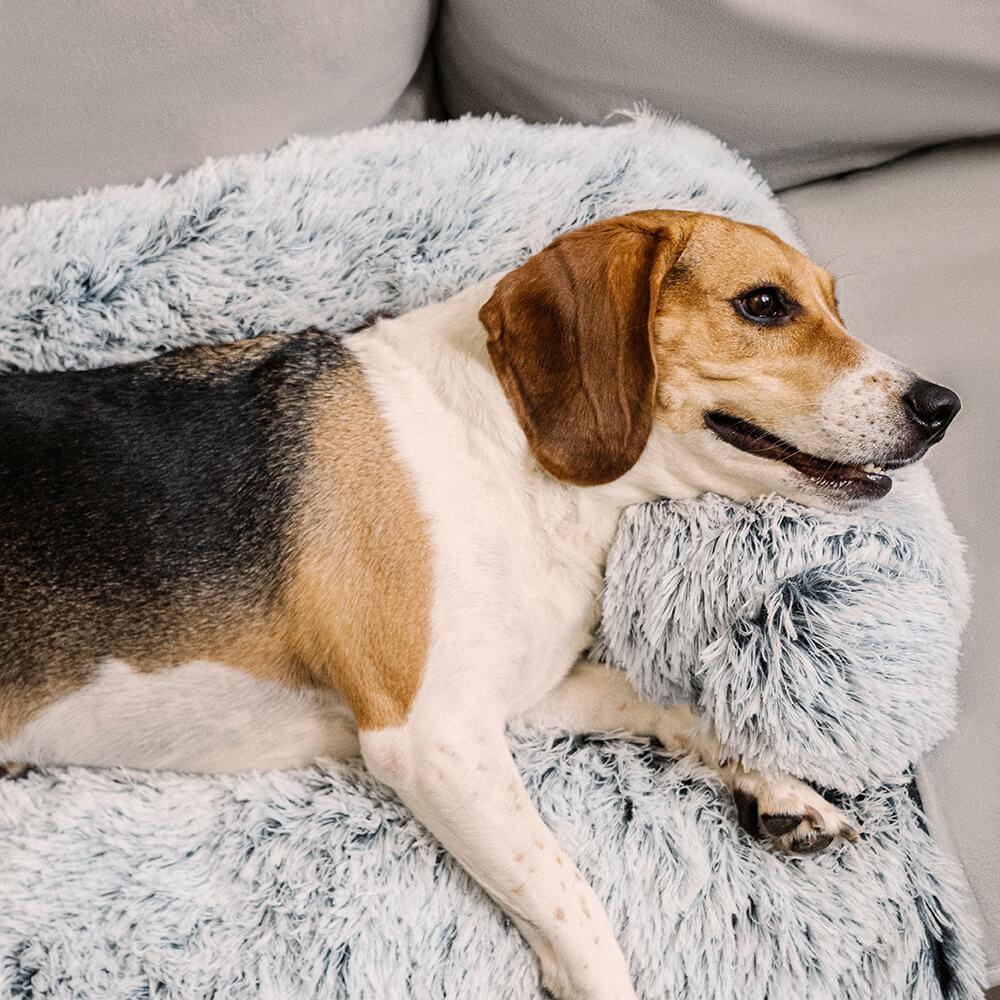 Cama Protetora de Móveis Calmante para Cachorro - Encosto Fuzzy