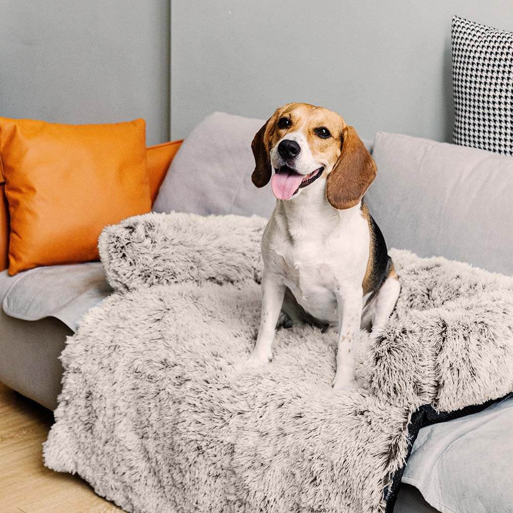 Cama Protetora de Móveis Calmante para Cachorro - Encosto Fuzzy