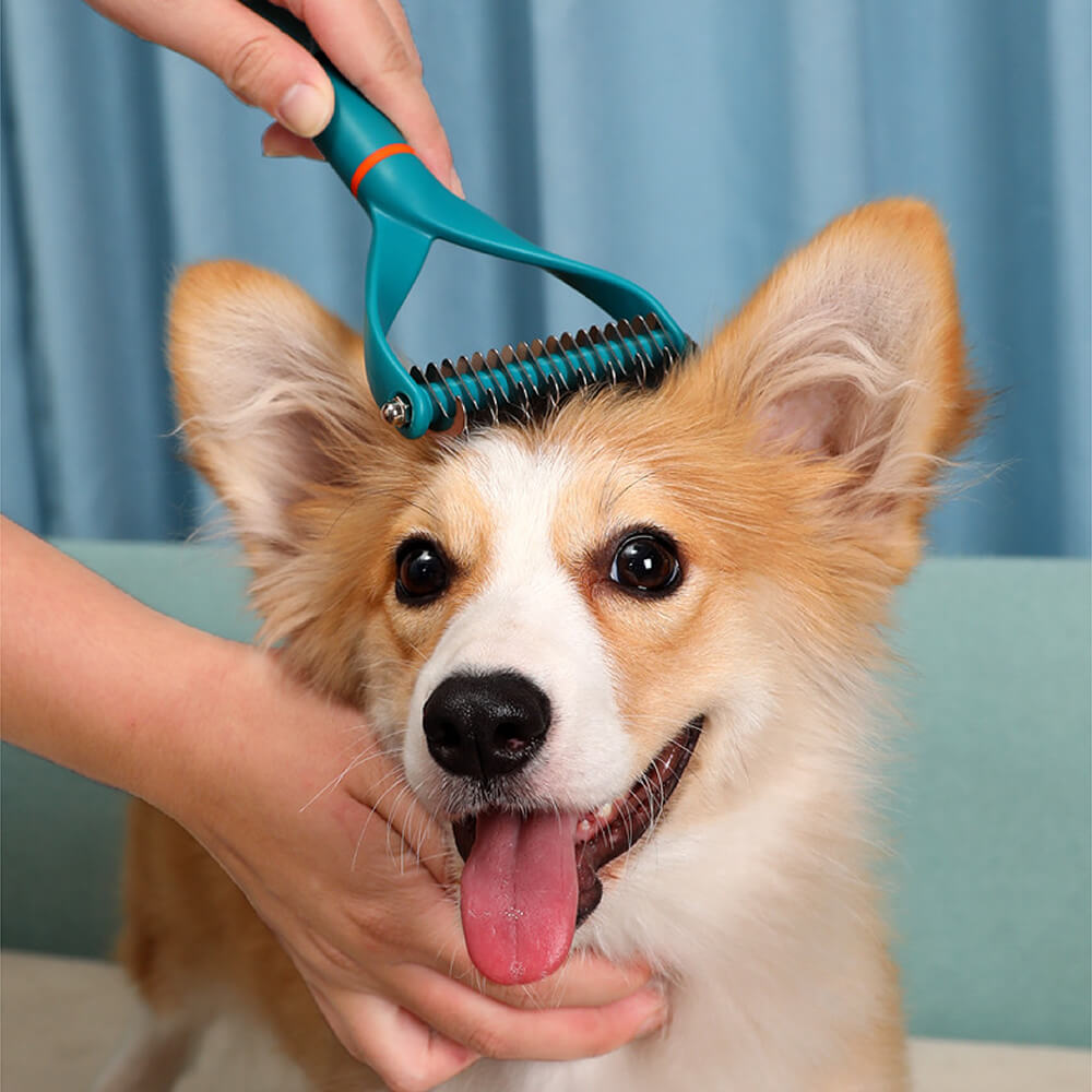 Rake de peine de dematición seguro para mascotas - cuchillas de doble cara