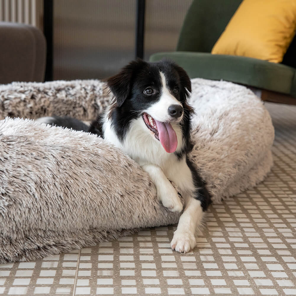 Luxury súper grande cama para perros humano con manta súper suave de lanzamiento de mascotas