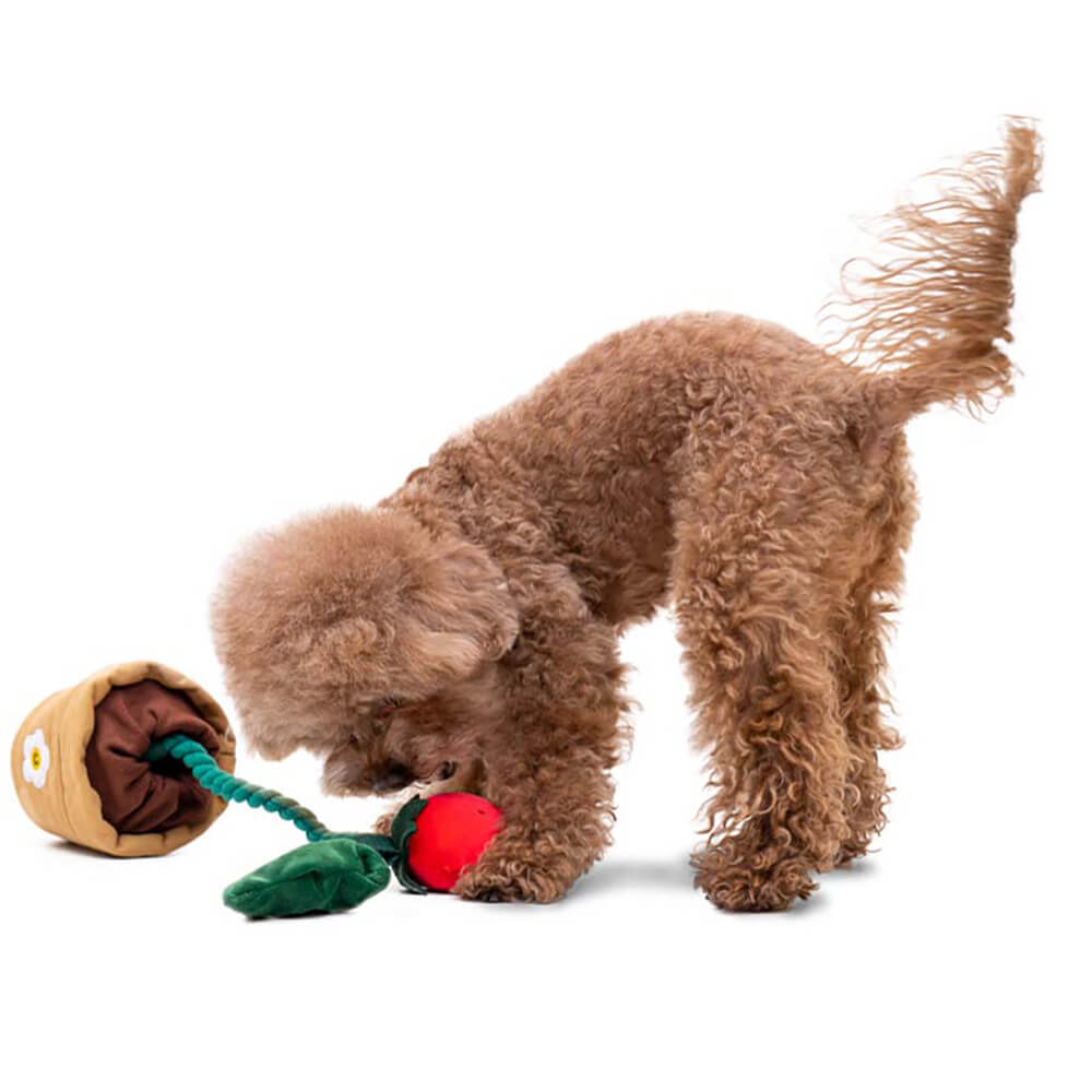 Juego de canasta de regalo de juguete para perros | Squeaky Chew Plush Tratas de lanzamiento de juguetes interactivos