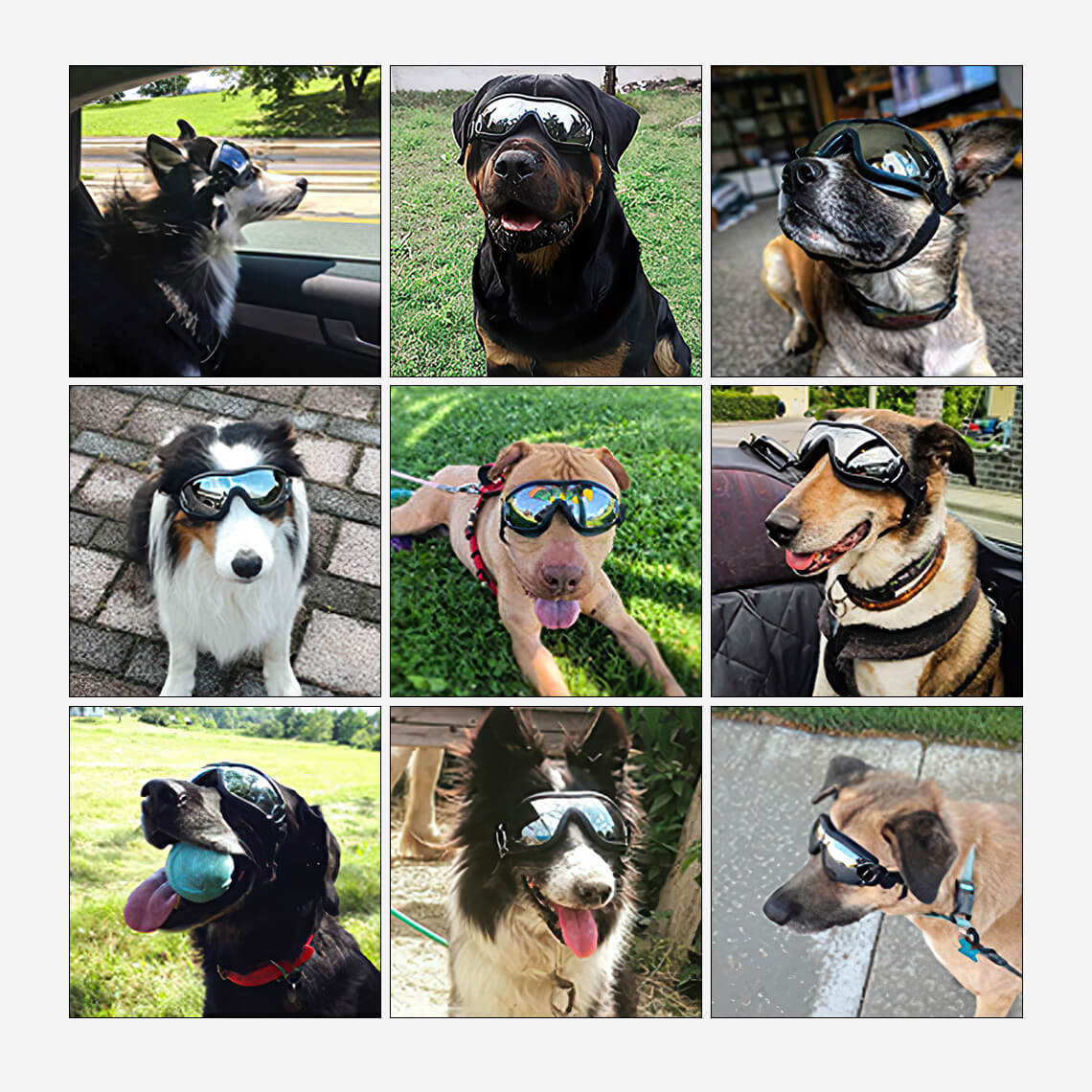 Goggles For Big Cool Dog Accessories - FUNNYFUZZY