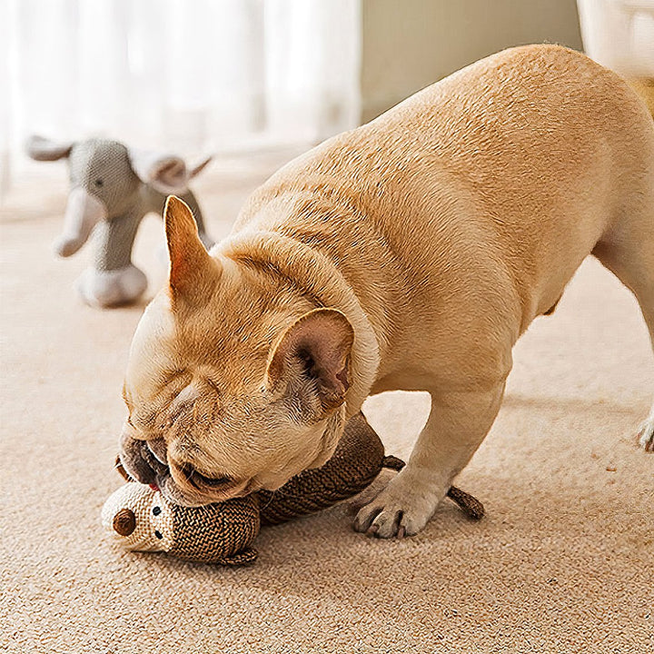Tierisches quietschendes Plüsch-Hundespielzeug