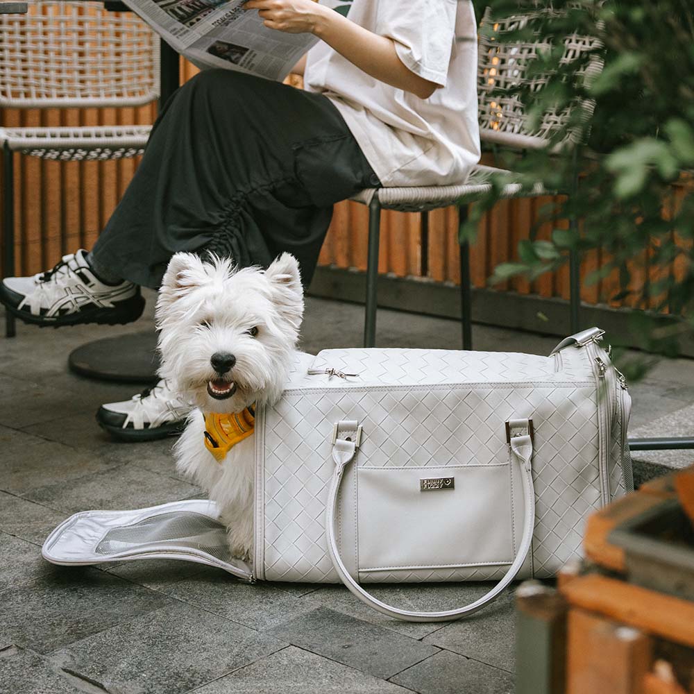 Luxury Multi-Functional Breathable Woven Leather Pet Carrier – The City Companion