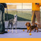 Travel Bundle Happy Easter