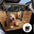 Extensor de assento traseiro para cachorro com cobertura total extra grande para quarto móvel - ideal para viagens e acampamento