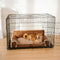 Luxe Faux Leather Plush Sponge Sponge Orthopedic Dog Bed - Calentamiento