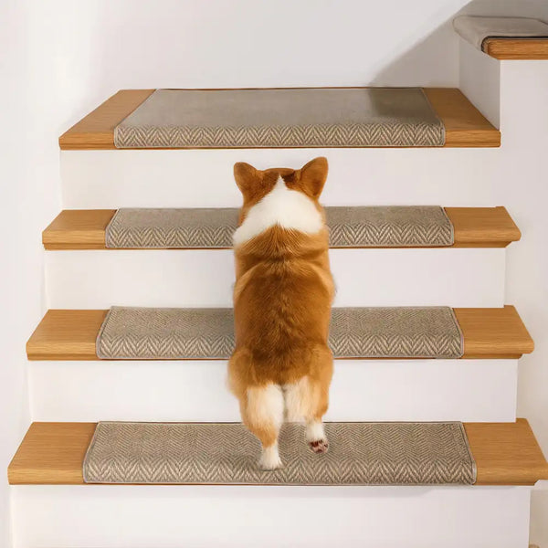 Espiga en espiga cinta de protección para la escalera resistente a la escalera de alfombra gratis