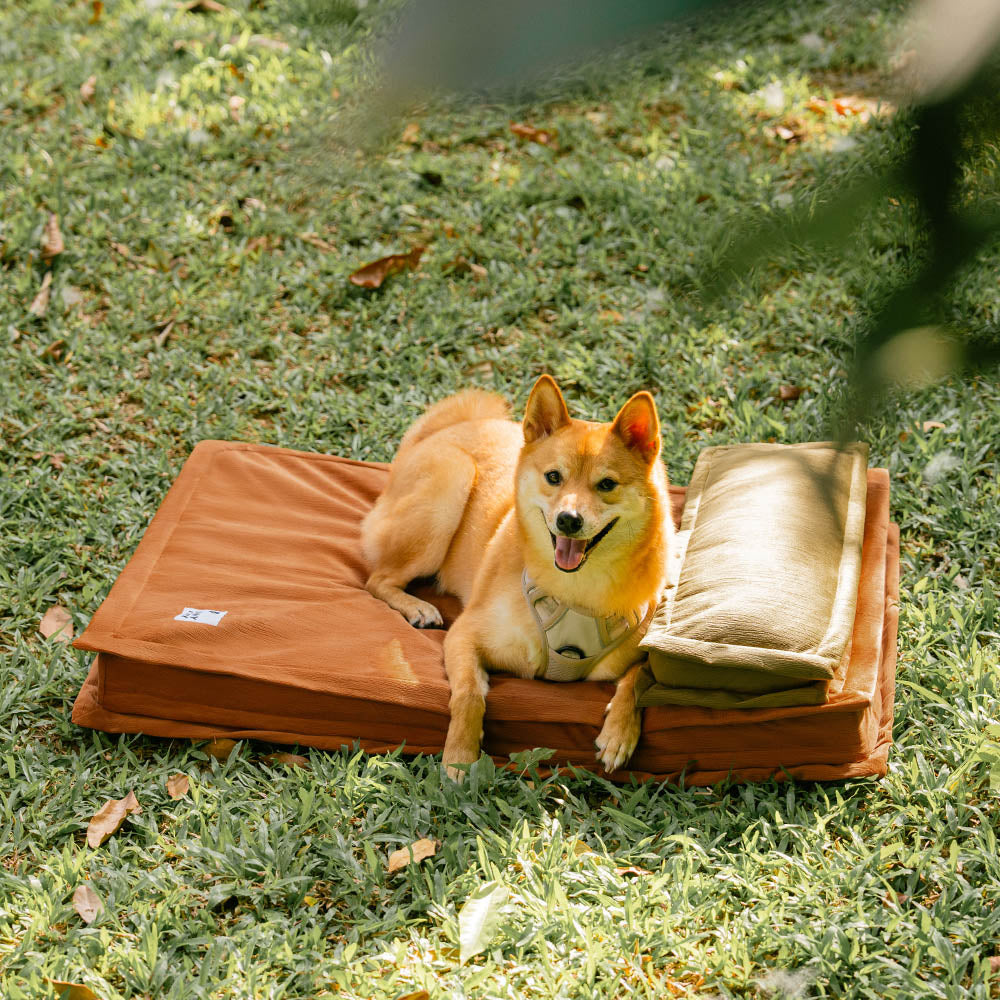 Anti-anxiété avec support en éponge Lit pour chien à sommeil profond