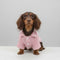 Cozy Knitted Dog Sweater with Plaid Collar – Available in Pink & Blue