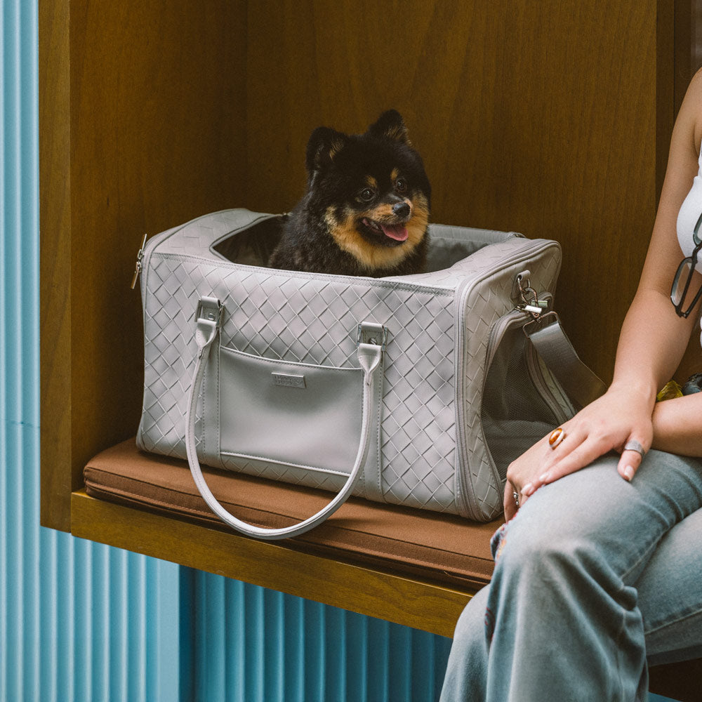 Luxury Multi-Functional Breathable Woven Leather Pet Carrier – The City Companion