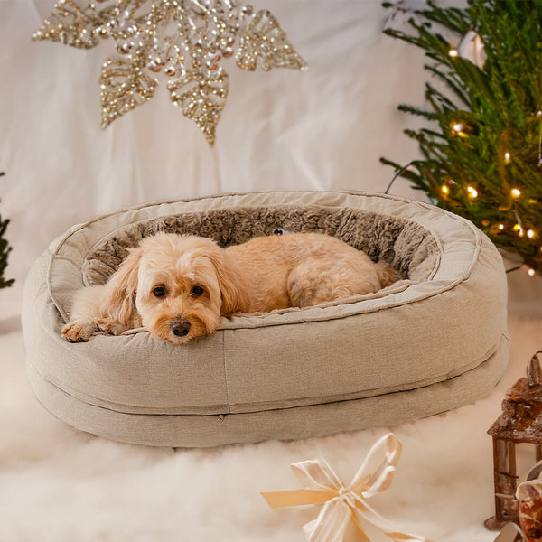 Cama de perro ortopédico de donut esponjoso