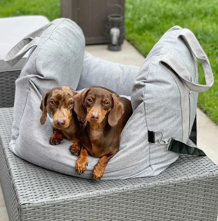 Accessoires de siège de voiture pour chien, sangles réglables multifonctions