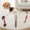 Juguete para perros duradero juguete interactivo Toy dentición y mastica