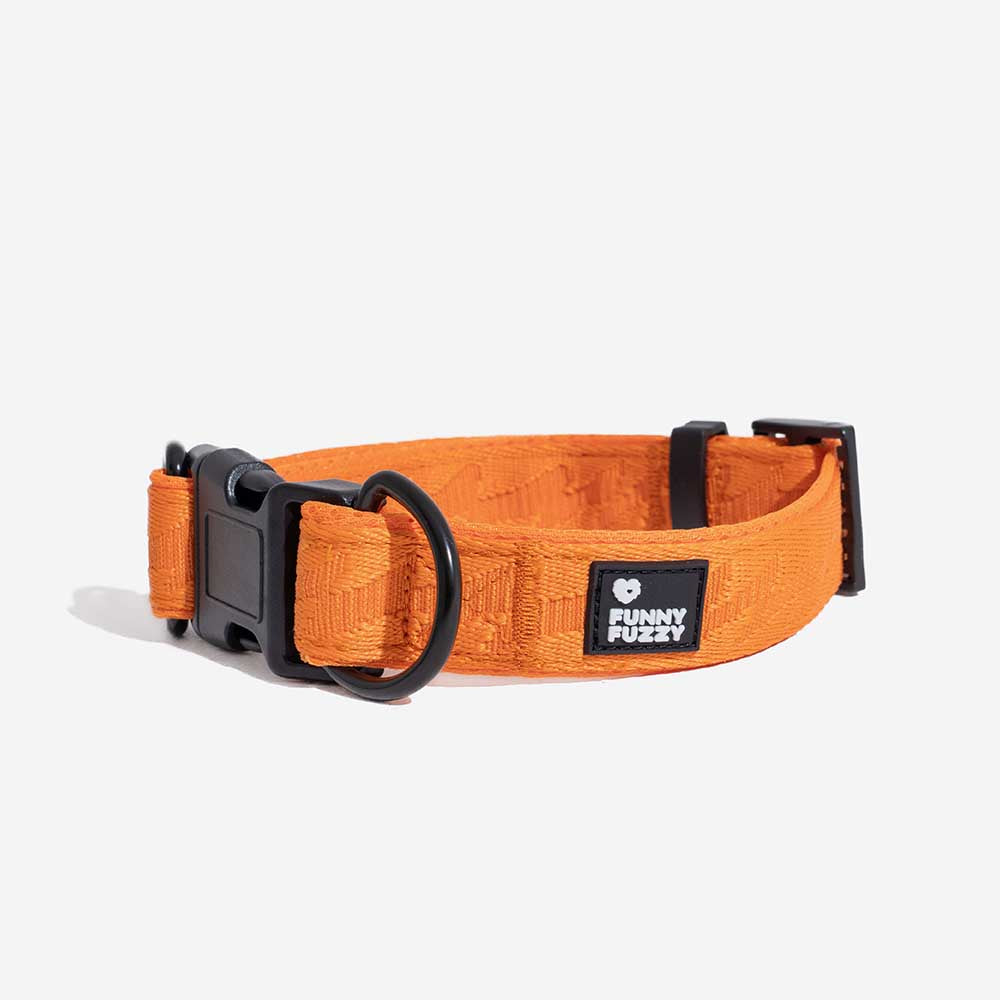 Funnyfuzzy Ajustable Nylon Durable Dog Collar - Flexi Walker