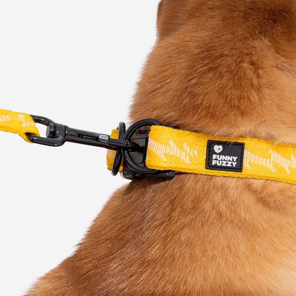 Funnyfuzzy Ajustable Nylon Durable Dog Collar - Flexi Walker