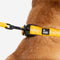 Funnyfuzzy Ajustable Nylon Durable Dog Collar - Flexi Walker