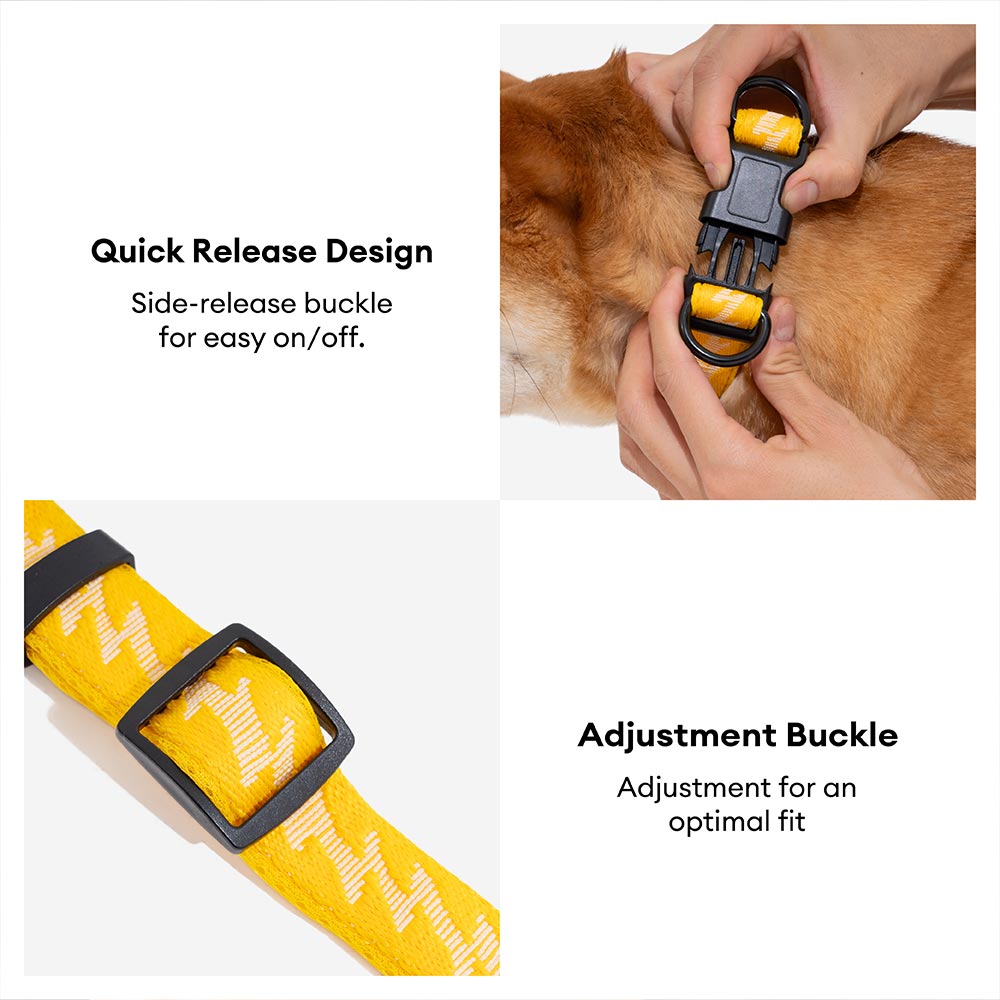 Funnyfuzzy Ajustable Nylon Durable Dog Collar - Flexi Walker