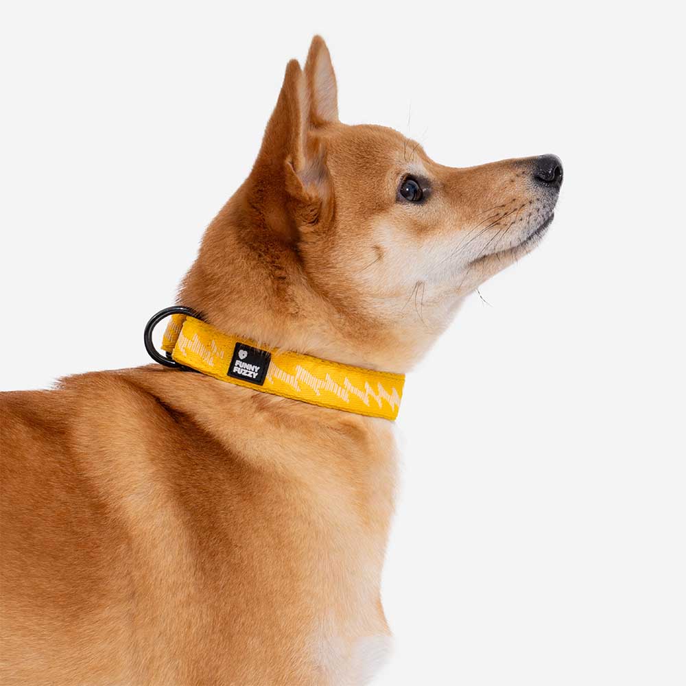 Funnyfuzzy Ajustable Nylon Durable Dog Collar - Flexi Walker