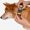 Funnyfuzzy Ajustable Nylon Durable Dog Collar - Flexi Walker