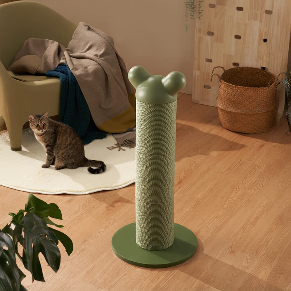 Diseño de orejas de osos Post de rayado de gato de papel de papel duradero