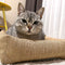 Cama de gato resistente a los rasguños de fibra de yute natural duradera