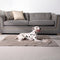 Striped Water-Resistant All-Season Warm Pet Blanket for Multi-Use