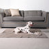Striped Water-Resistant All-Season Warm Pet Blanket for Multi-Use