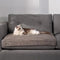 Striped Water-Resistant All-Season Warm Pet Blanket for Multi-Use