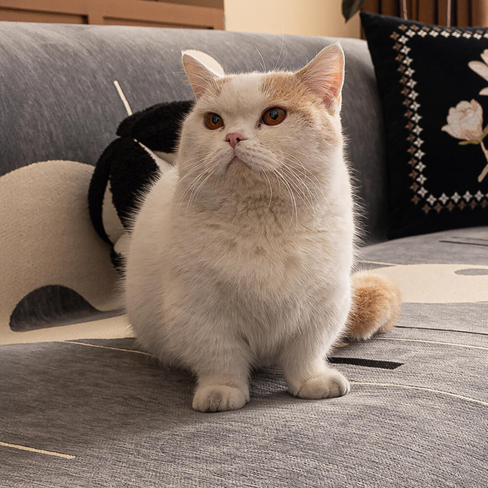 Modern Planet Cup Style Cat-Friendly Chenille Throw Couch Cover