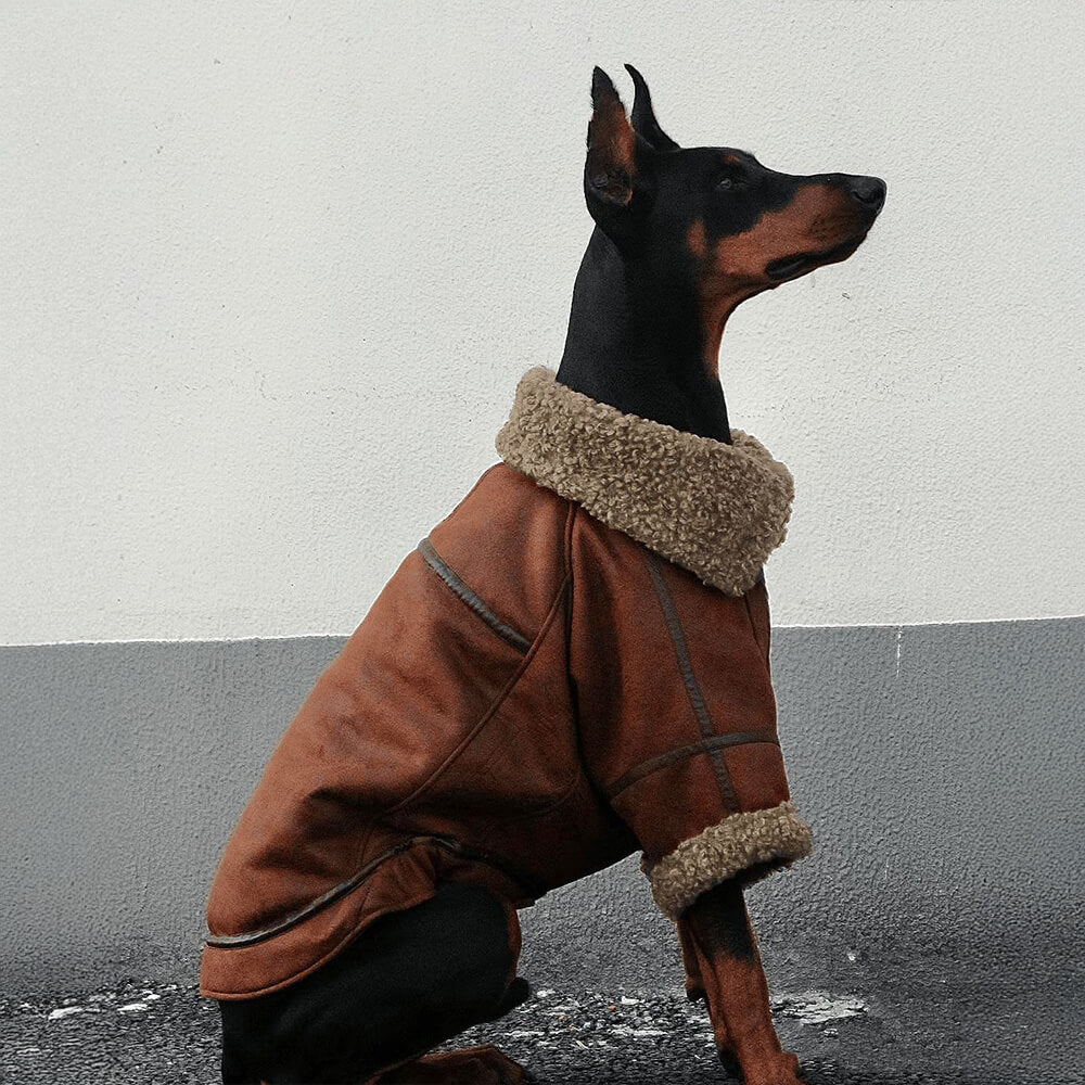 Vintage Flieger-Hundejacke mit Shearling-Futter – warm und stilvoll