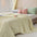 Macaron Dual-Color Cooling Ice Silk Blanket