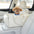 3 In 1 Portable Multi-Purpose Waterproof Pet Car Seat Central Console for Small Dogs