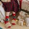Weihnachts-Weihnachtsmann-Strickschal, passende Socken für Haustier und Besitzer
