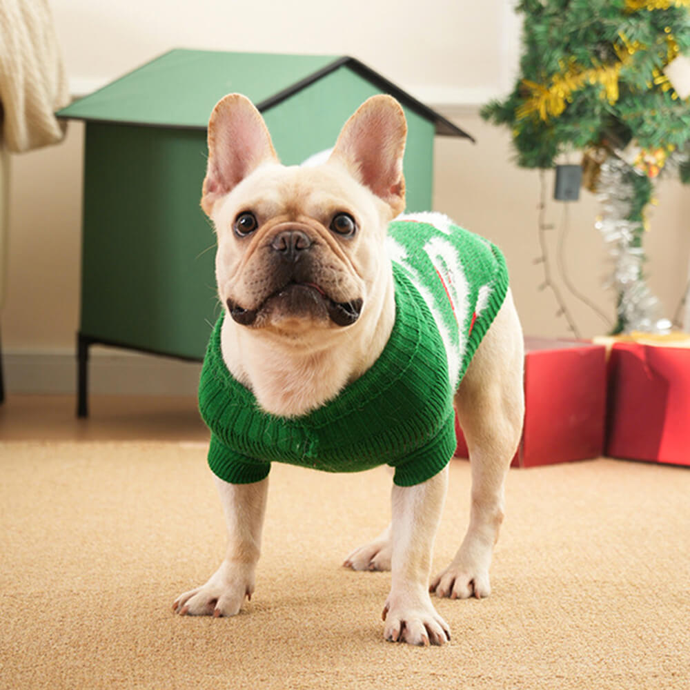 Suéter de punto de perros de cuello de tortuga navideño para perros y propietario
